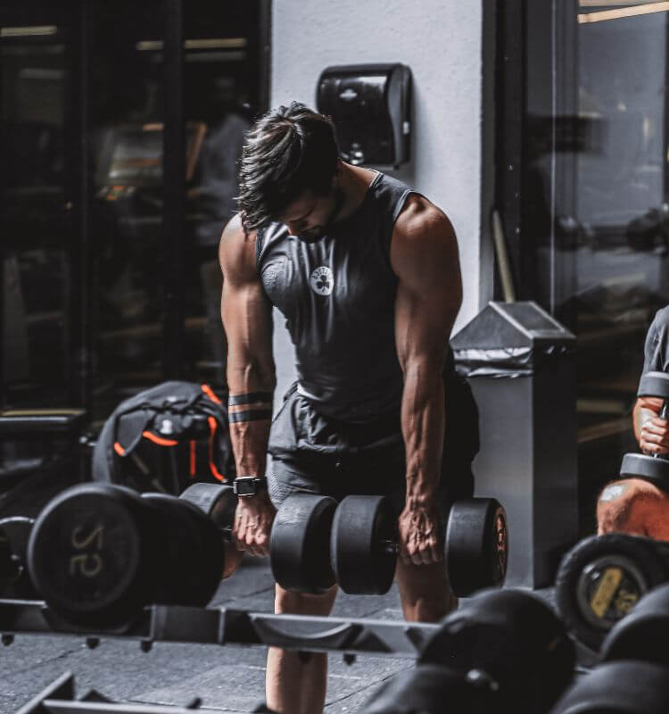 Muscle Building Programs